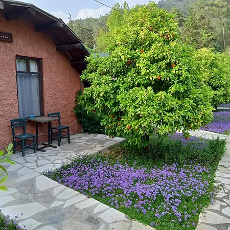 Simurg Evleri Gasthuis 3*