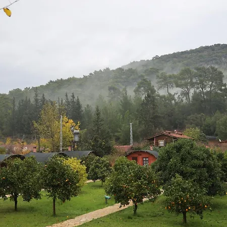 Gasthuis Simurg Evleri Olympos