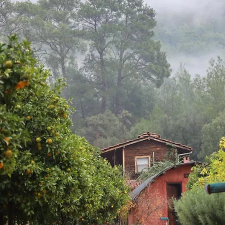 Simurg Evleri Olympos
